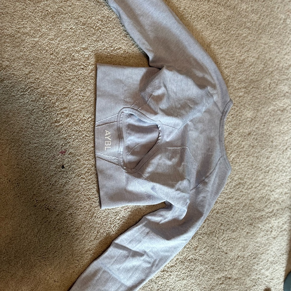 AYBL motion seamless long sleeve crop top